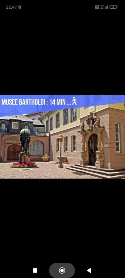 Refuge Ladhof Odysalis I Chic-Moderne-Proche Du Centre-Ville 3 Pieces 2 Chambres กอลมาร์ ภายนอก รูปภาพ